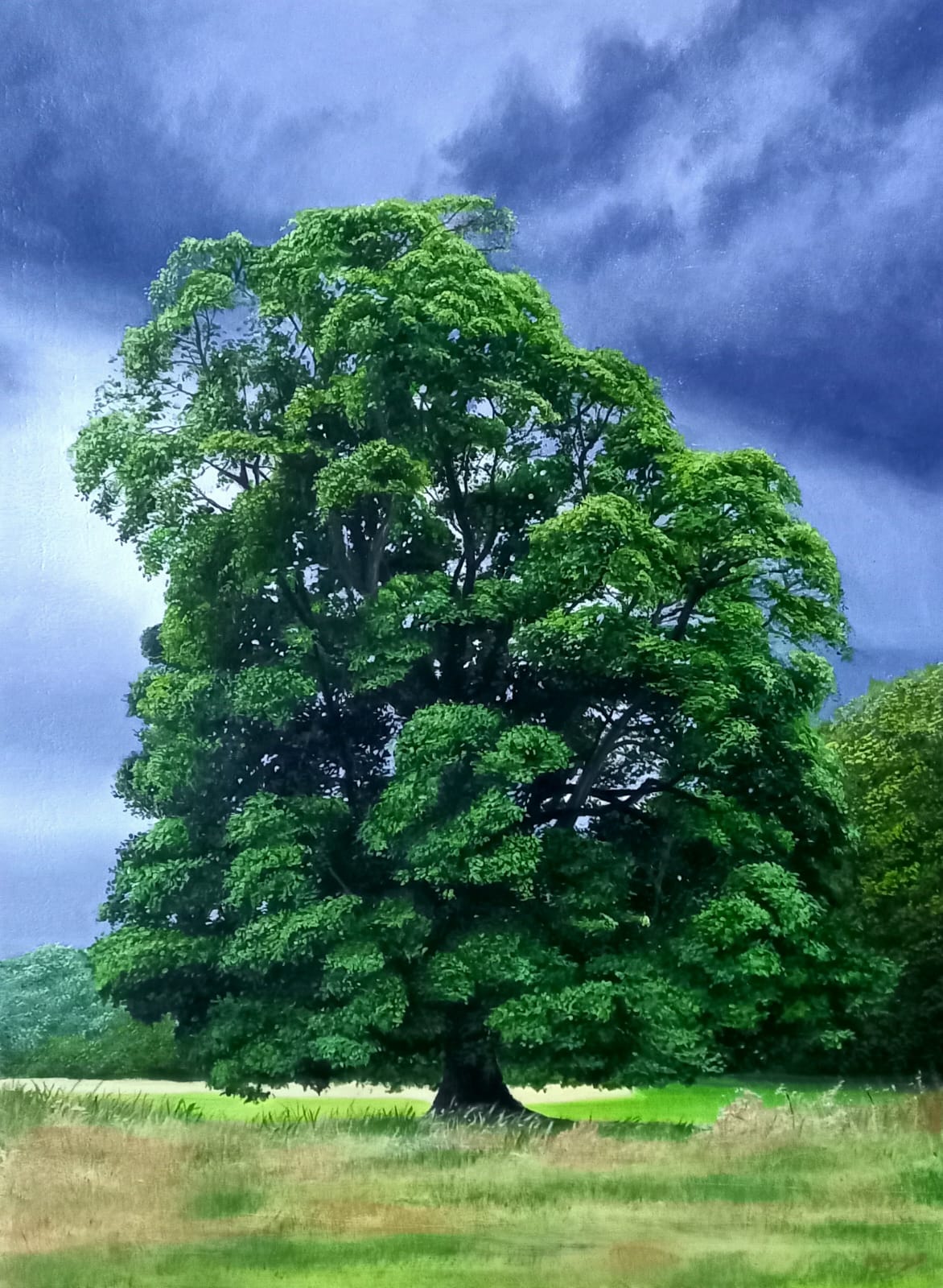 Bracing The Storm - Giclee Print - Image 2