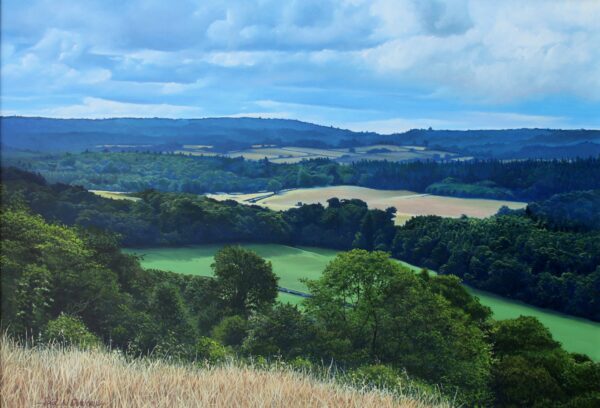 ALBURY DOWNS NATURE RESERVE - FRAMED - Image 4